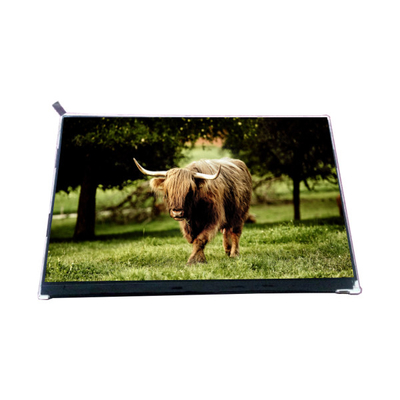 Guter Preis VVX10F002A90 10,1 Zoll 1000: 1 LCD-Bildschirm Online