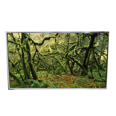 Guter Preis LD490EPY-SHP1 51 Pins 1920*1080 60Hz LCD-Bildschirm für digitale Beschilderung Online