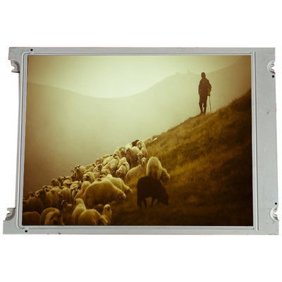 Guter Preis LMG6382QHFR 4,8 Zoll 256 * 64 LCD-Bildschirm für Industrie Online