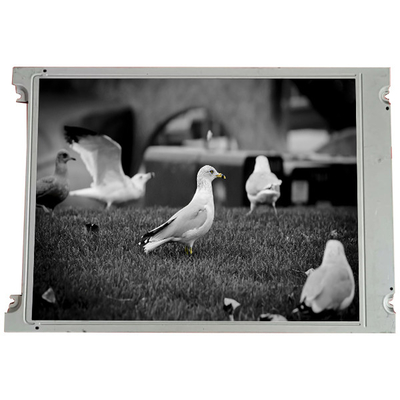 Guter Preis LMG6911RPBC 5,7 Zoll 320*240 LCD-Bildschirm für Industrie Online