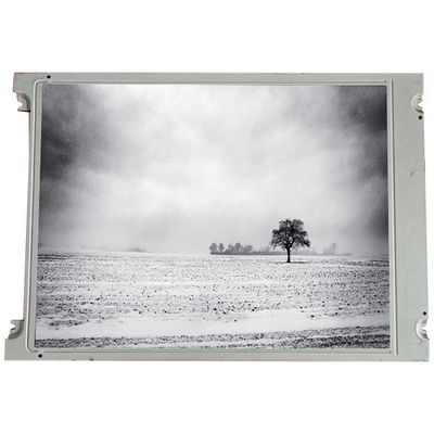 Guter Preis SX16H006 6,2 Zoll 640*240 LCD-Bildschirm für Industrie Online