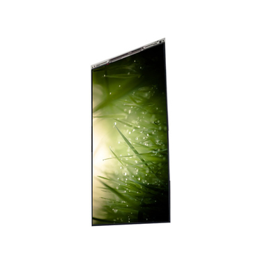 Guter Preis BS055FHG-E41-6C00 5,5-Zoll-LCD-Display LCD-Bildschirm Online