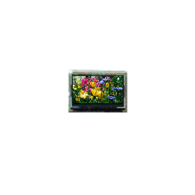 Guter Preis BT1010SFQ-N80 1,0 Zoll LCD-Display LCD-Bildschirm-PANEL für BOE Online