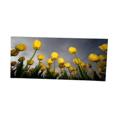 Guter Preis LM340WW2-SSD1 34,0 Zoll 2560*1080 LCD-Bildschirm Online
