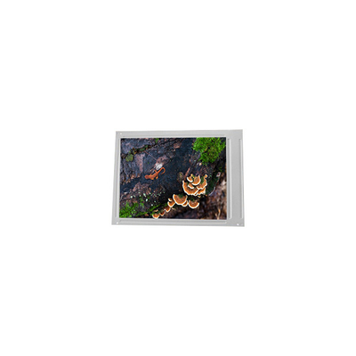 Guter Preis LM64P89N 10,4 Zoll 640*480 LCD-Bildschirm Online