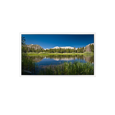 Guter Preis 65 Zoll 3840*2160 DV650QUB-R01 1.07B 72%NTSC LCD-Bildschirm Online