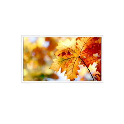 Guter Preis EV238FHM-N12 23,8 Zoll 1920*1080 LCD Bildschirmmonitor Online