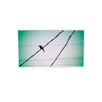 Guter Preis TDA104-001V01 10,4 Zoll 1024*768 1000:1 LVDS-LCD-Display für Industrieanlagen Online