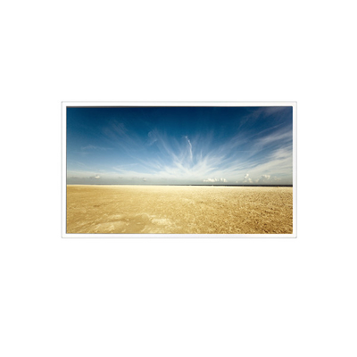 Guter Preis 800*1280 10,1-Zoll-TV101WXM-NM0 500 cd/m2 LCD-Panel für Pad Tablet Online