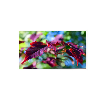 Guter Preis TV116FHM-N00 1920*1080 11,6 Zoll 60Hz 40 Pins LCD-Panel Bildschirmmonitor Online