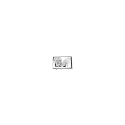 Guter Preis 8.8 Zoll 768*768 TPA088-001V02 16.7M 71% NTSC LCD-Panel für Industrie Online
