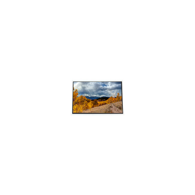 Guter Preis A070STN01.1 1024*600 7,0 Zoll 60Hz LCD-Bildschirm für MID UMPC Online