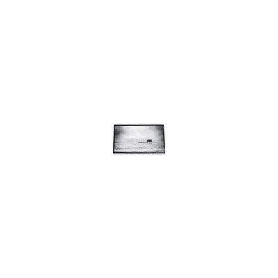 Guter Preis 640*480 3,5 Zoll PD035VX1 262K LCD-Bildschirm für Projektor Online