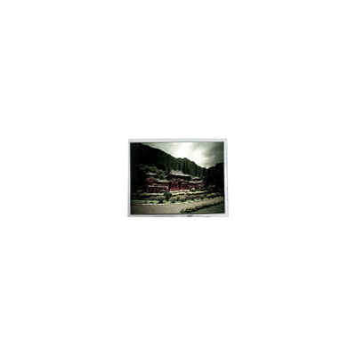 Guter Preis 480*640 PD050VX4 5,0 Zoll 262K 400:1 LCD-Bildschirm Online