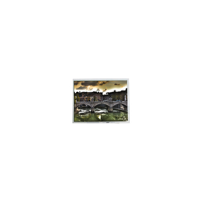 Guter Preis Hot Sell 800*600 10,4 Zoll PD104SLD 400:1 262K LCD Bildschirm Online