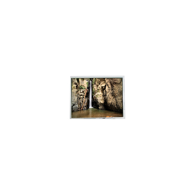 Guter Preis 800*600 PD104SLJ 10,4 Zoll 400 cd/m2 60 Hz LCD-Bildschirm Online
