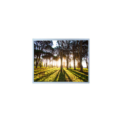 Guter Preis Warm verkaufen 800*480 PM100WX2 10,0 Zoll LCD-Bildschirm für Industrie Online