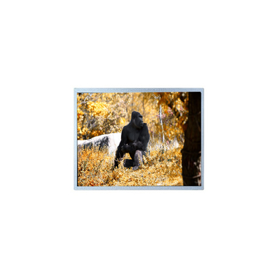 Guter Preis Original 7,0 Zoll 800*480 PW070WX2 LCD-Bildschirm Online