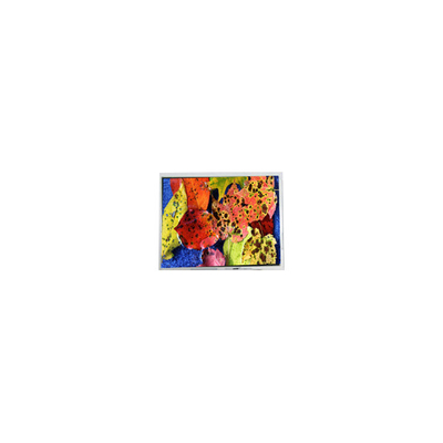 Guter Preis 800*600 AM-80060K3TMQW-02H 10,4 Zoll LVDS-LCD-Bildschirm Online