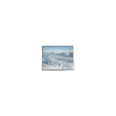 Guter Preis AM-320240NTMCW-T00H-A(R) 5,7 Zoll 320*240 Touch LCD Bildschirm Online