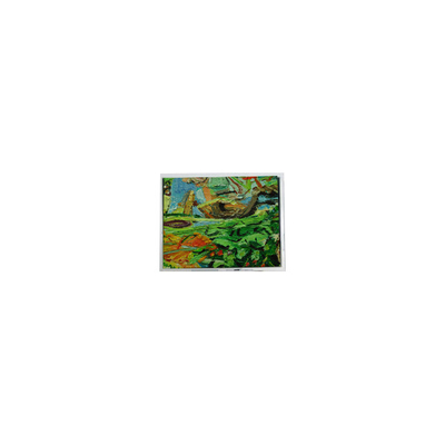 Guter Preis Original 800*480 5,0 Zoll AM-800480NGTZQW-01H 45 Pins WLED-LCD-Bildschirm Online