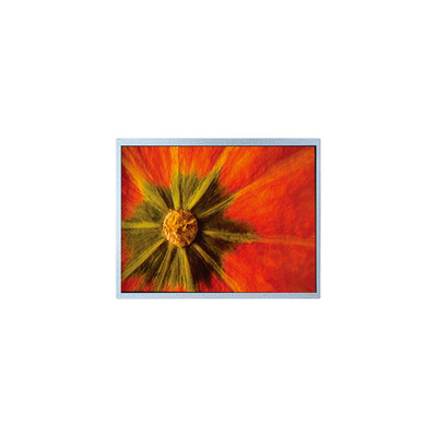 Guter Preis Original 1024*600 AM-1024600LTMQW-T05H-A TFT LCD Bildschirm Online