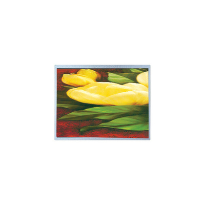 Guter Preis Hot Sell 12,1 Zoll AM-1024768R2TNQW-T00H 1024*768 TFT LCD Bildschirm Online