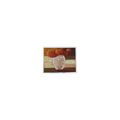 Guter Preis Heiss verkaufen 5,3 Zoll 256 * 128 DMF682AF LCD-Bildschirm Panel Modul Online