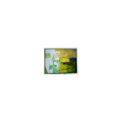 Guter Preis DMF5001NYL-ACE 160*128 4,7 Zoll 70Hz LCD-Bildschirmmodul Online