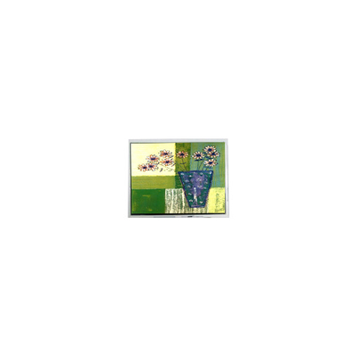 Guter Preis 240*64 5,2 Zoll DMF5010NBU-FW-BD 20 Pins LCD-Bildschirm Online