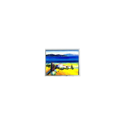 Guter Preis Hot Sell 5,4 Zoll DMF50773NF-FW 240*128 22 Pins LCD Bildschirm Online