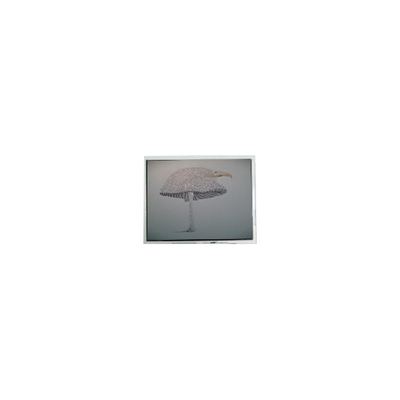 Guter Preis 9.4 Zoll DMF-51043NFU-FW 640*480 LCD Bildschirm Online