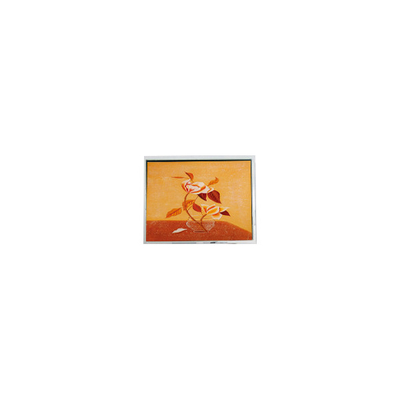 Guter Preis T-55225D104J-FW-A-AAN 10,4 Zoll 1024*768 LCD-Bildschirmmodul Online