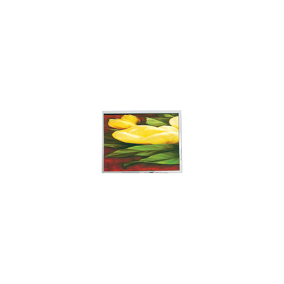 Guter Preis Neues 5,7 Zoll T-55265GD057J-LW-ABN 320*240 33 Pins LCD Bildschirm Online