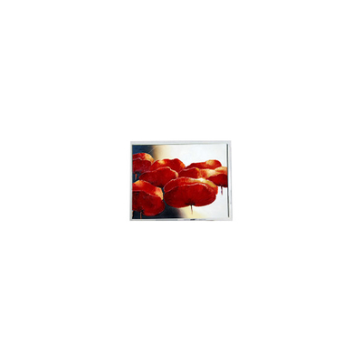 Guter Preis T-55534D150J-LW-A-ABN 15,0 Zoll 1024*768 LCD-Bildschirm Industrie Online