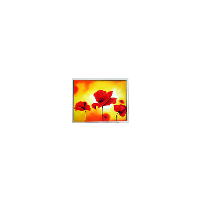 Guter Preis T-55629D065J-LW-A-AAN 6,5 Zoll 640*480 LVDS-LCD-Bildschirm Online