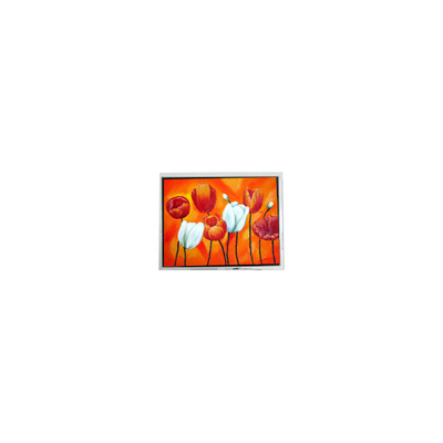 Guter Preis T-55644D090J-LW-A-AAN 9,0 Zoll 1280*768 LCD-Bildschirm für Industrie Online