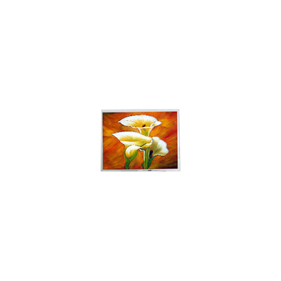 Guter Preis T-55694D106J-LW-A-AAN 10,6 Zoll 1280*768 1000 cd/m2 LCD-Bildschirm Online