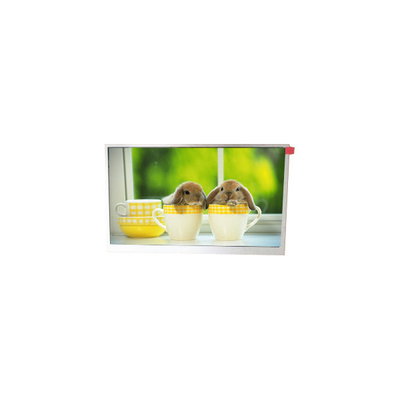Guter Preis TM090RDSG06 9,0 Zoll 800*480 WLED-LCD-Bildschirm Online