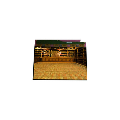 Guter Preis Hot-Sell 1600*1200 TM201XDHP01 20,1 Zoll LVDS-LCD-Display Online