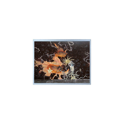 Guter Preis 12.1 Zoll P1210WXF1MA00 1280*800 WLED TFT-LCD-Panel Online