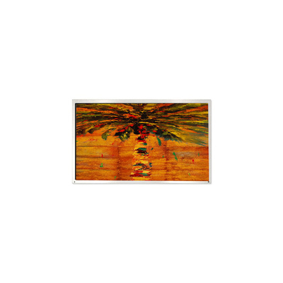 Guter Preis HM150X01-N01-1QP1 15,0 Zoll 1024*768 LCD-Panel für digitale Beschilderung Online