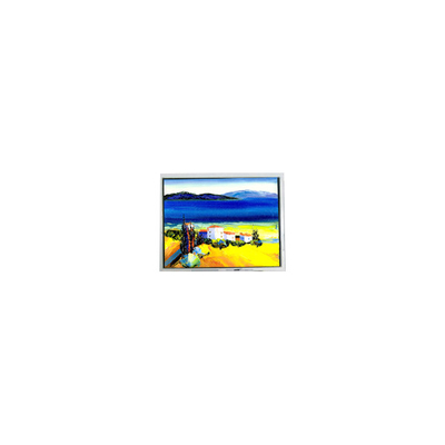 Guter Preis HSD050JDW2-C10-0220 800*480 5,0 Zoll LCD-Bildschirm Online