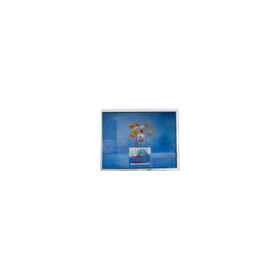 Guter Preis HSD080GHW3-A15 8,0 Zoll 1280*720 LCD-Display für Außenlicht Online