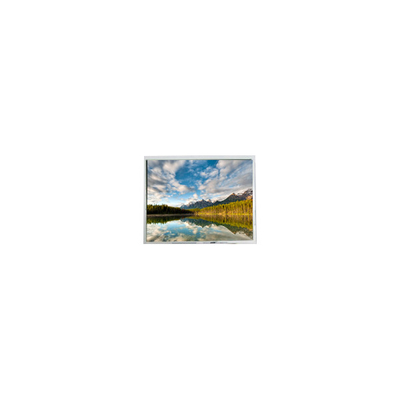 Guter Preis Warm verkaufen 10,0 Zoll 1200 * 1600 HSD100GBN1-029901-PX LCD-Display Online