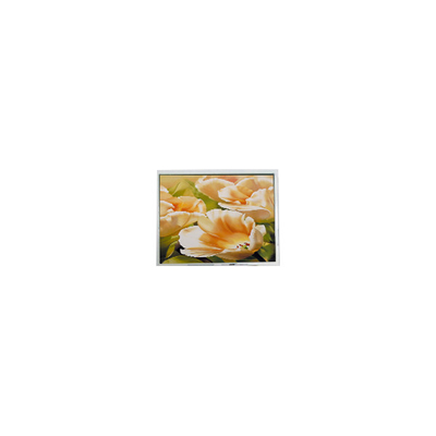 Guter Preis ES13BB0FLW 128*64 2,9 Zoll LCD-Bildschirm-LCD-Modul für Instrumente Online