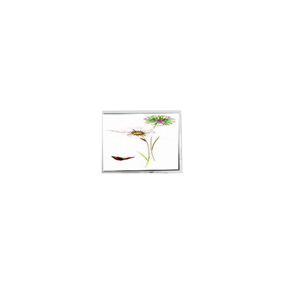 Guter Preis Neues 240*320 ET028003DHU 2,8 Zoll LCD-Touchscreen-Monitor Online