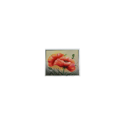 Guter Preis neue 7,0 Zoll ETM070001BDHA 800*480 PCAP LCD-Bildschirmmodul Online