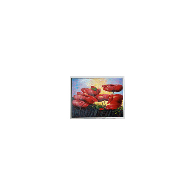 Guter Preis 5.7 Zoll 320*240 EW50352BCW LCD-Panel LCD-Monitor Online