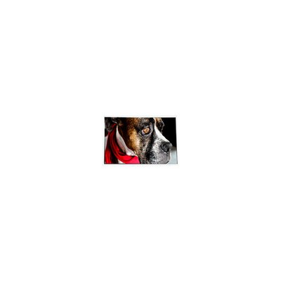 Guter Preis COM35H3P58ULC 3,5-Zoll-LCD-Bildschirm 320*240 60Hz Online